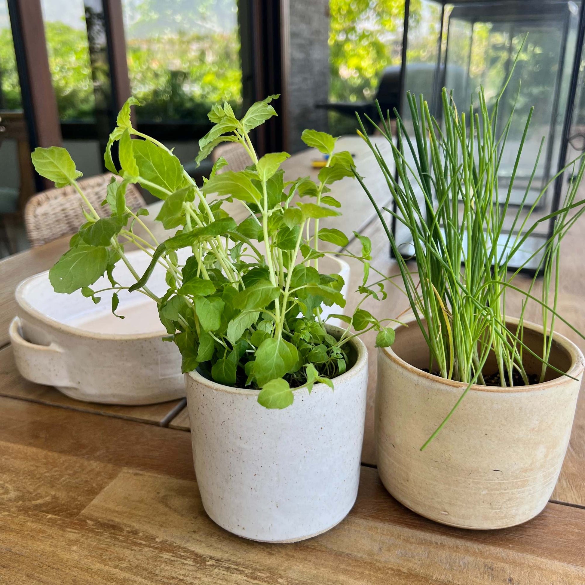 Macetero Para Hierbas BoHo2#Beige