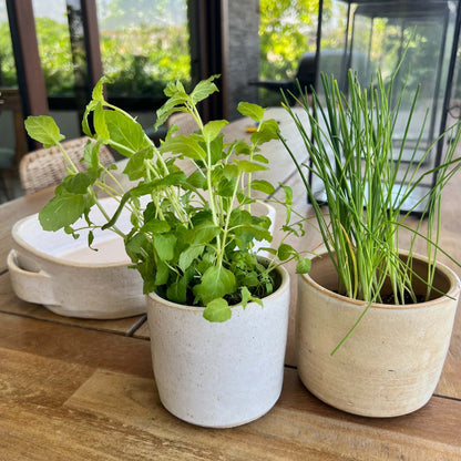 Macetero Para Hierbas BoHo2#Beige