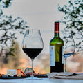 Performance Set 2 Copas Pinot Noir Riedel1#Sin color