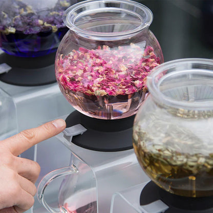 Tea Dripper  Hario2#Sin color