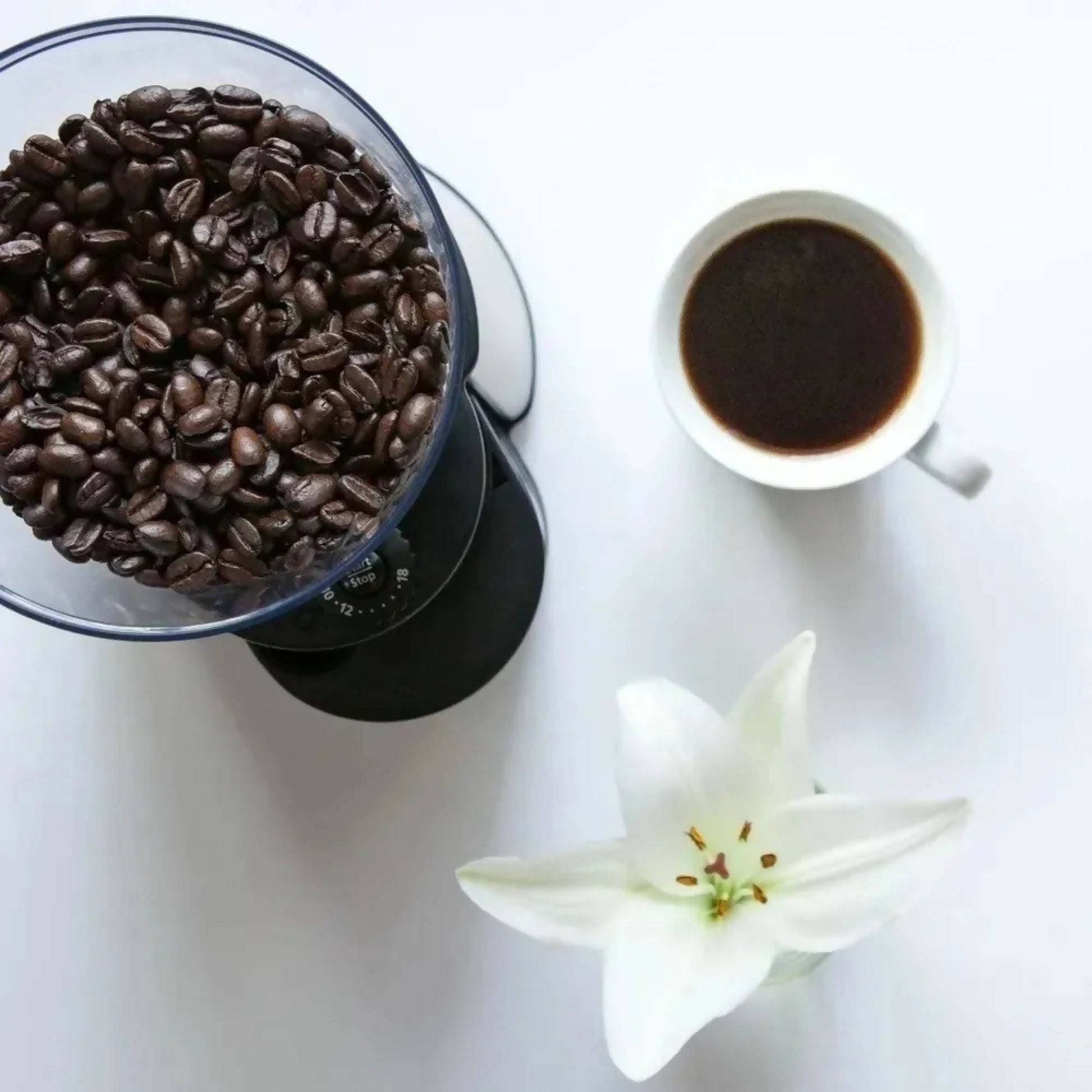 Molinillo Cafe 18 Ajustes Oster4#Gris