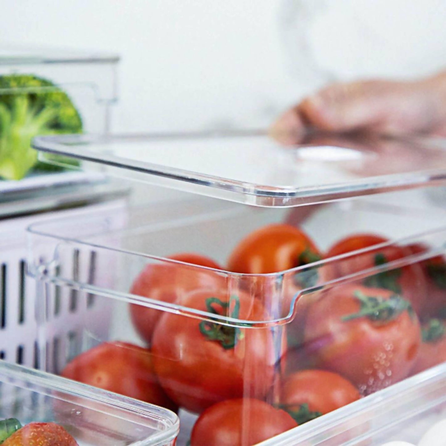 Organizador de Refrigerador Clear Fresh 5 Lt 30 x 15 x13 Cm Ou3#Sin color