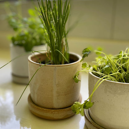 Macetero Para Hierbas BoHo6#Blanco