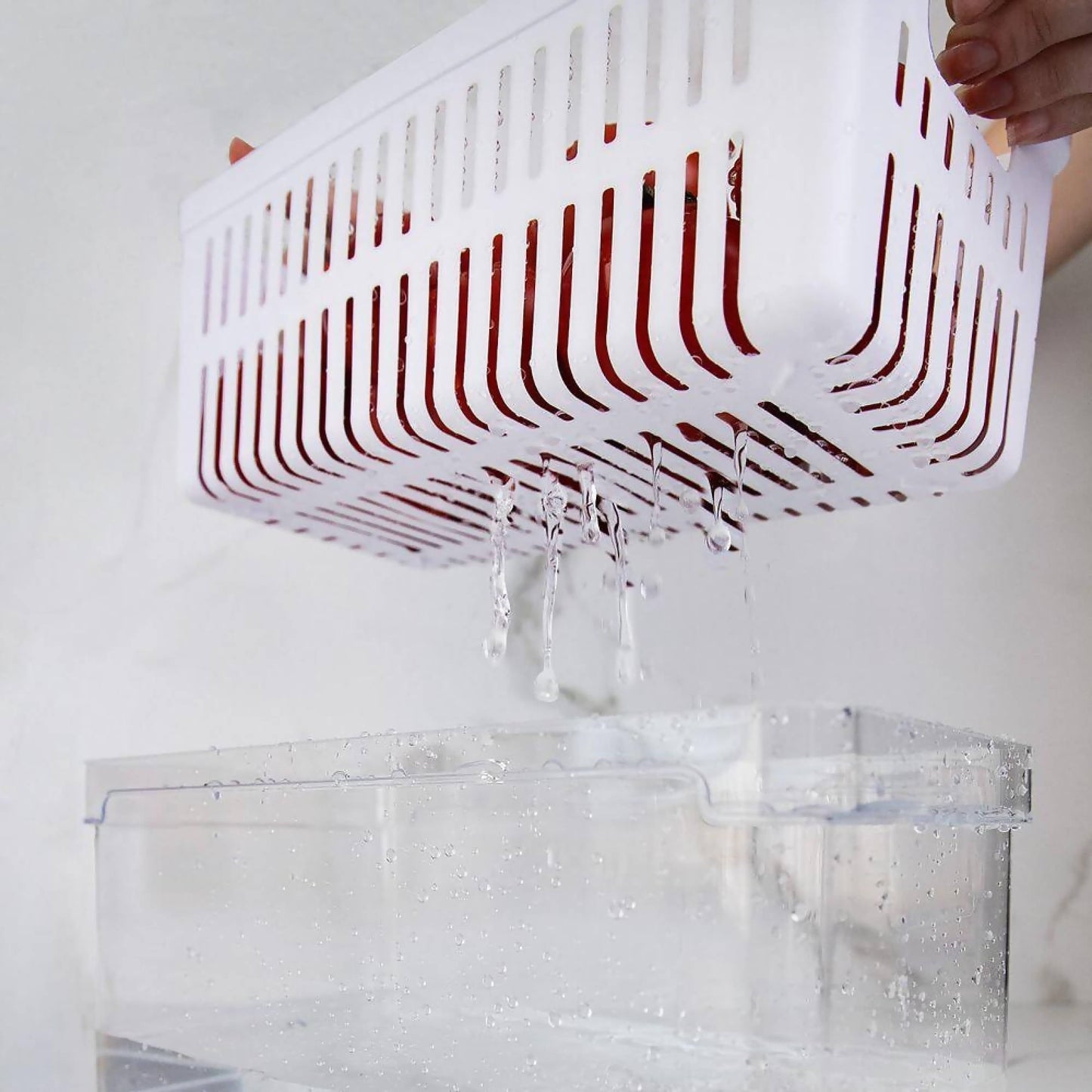 Organizador De Refrigerador Con Cesta Clear Fresh 30 x 15 x 13 Cm Ou2#Sin color