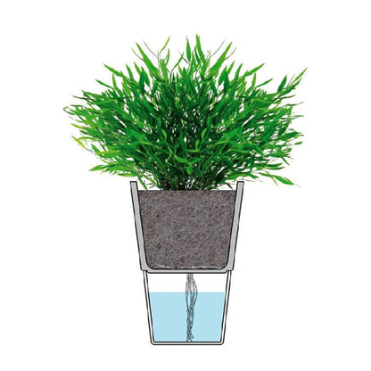 Macetero Auto Riego Para Hierbas 11 cm