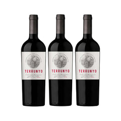3 Vinos Concha Y Toro Terrunyo Cabernet Sauvignon2
