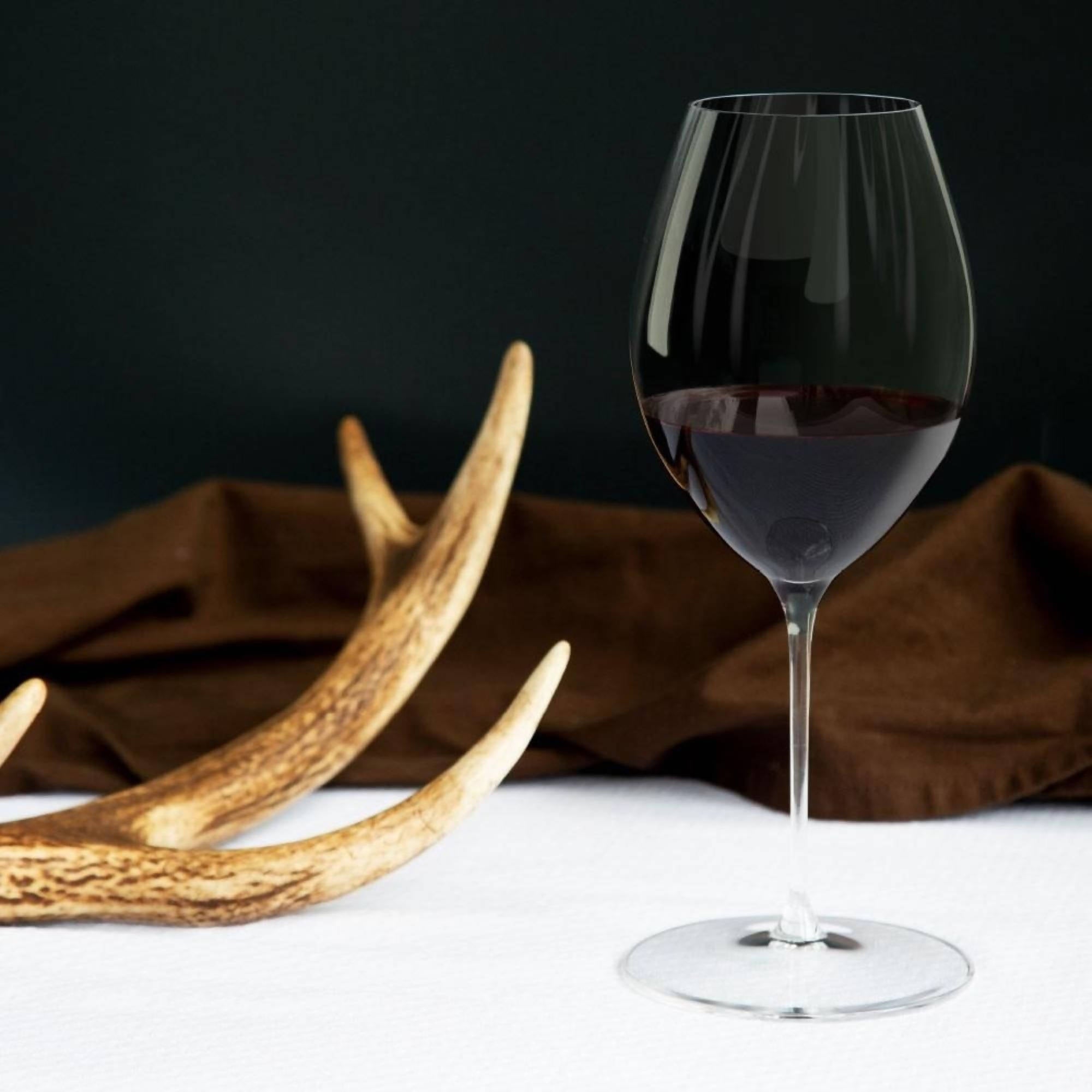 Set 2 Copas Performance Syrah Riedel – Kitchen Center